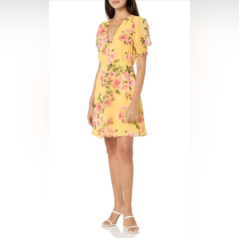 Vince Camuto Women's Short Sleeve V Neck Ptd Chiffon Fit & Flare Dress